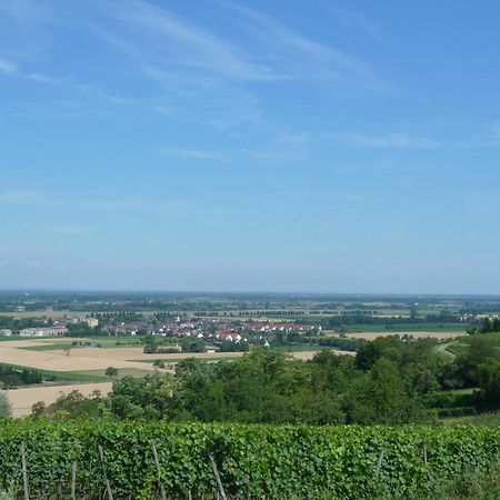 Schwarzwaldturmzimmer Lahr Luaran gambar
